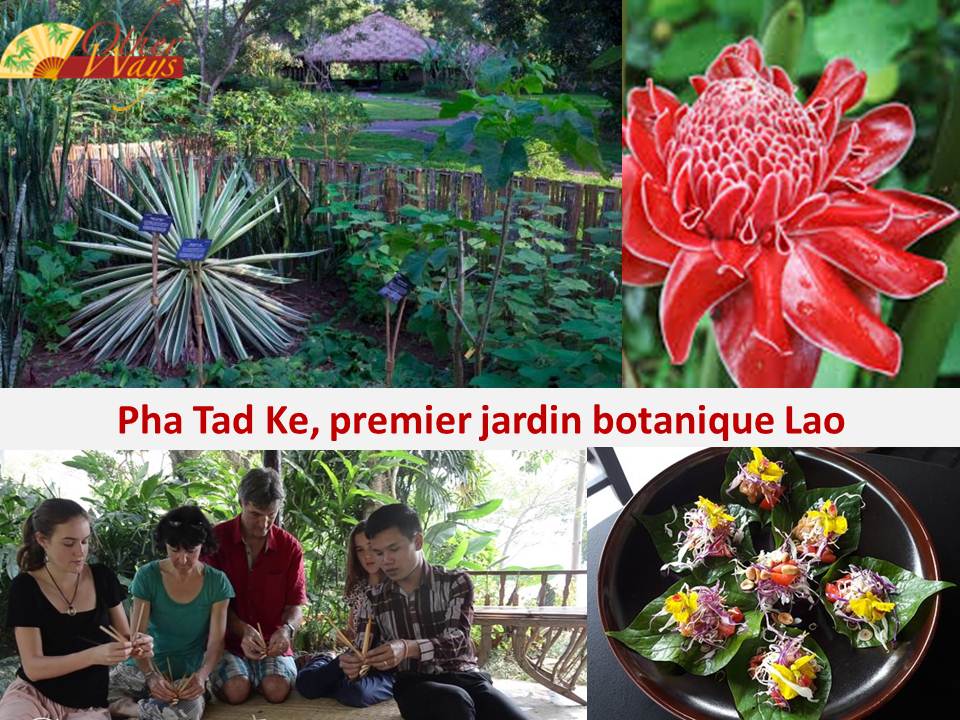Jardin Botanique au Laos